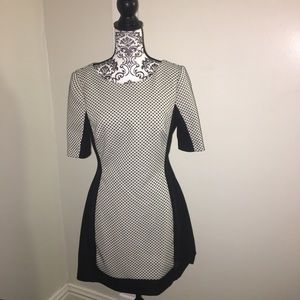 Max & Cleo White Black Polka Dot Dress Size 12